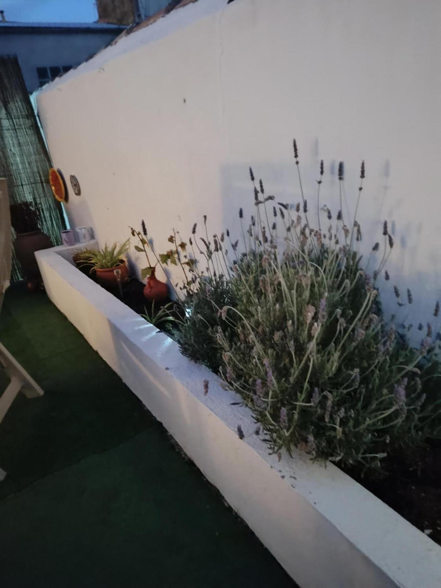 Casa Rural Alegria Caudete de las Fuentes 외부 사진