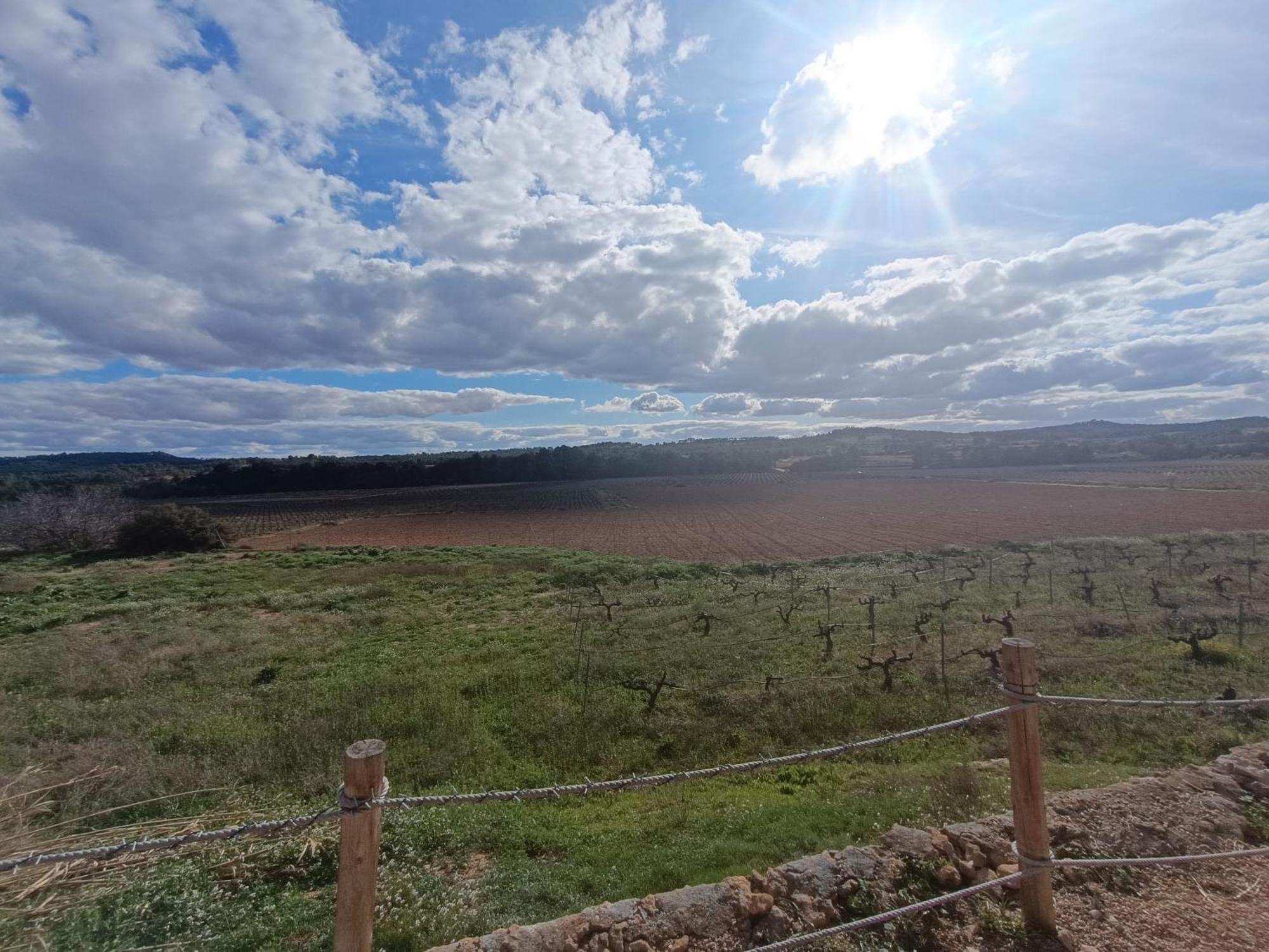 Casa Rural Alegria Caudete de las Fuentes 외부 사진
